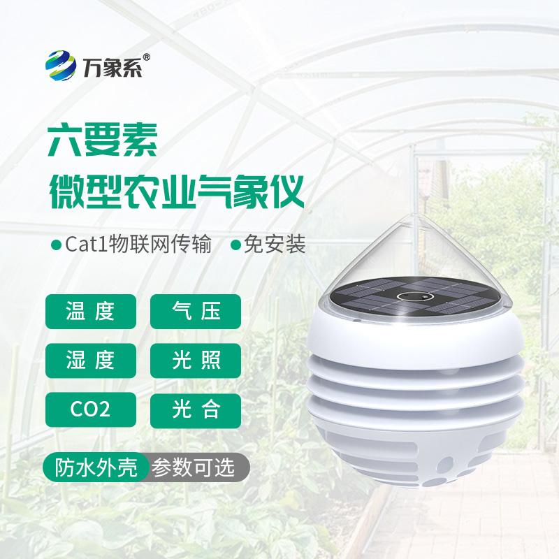 六要素微型農業(yè)氣象儀